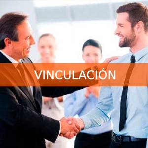 Vinculación